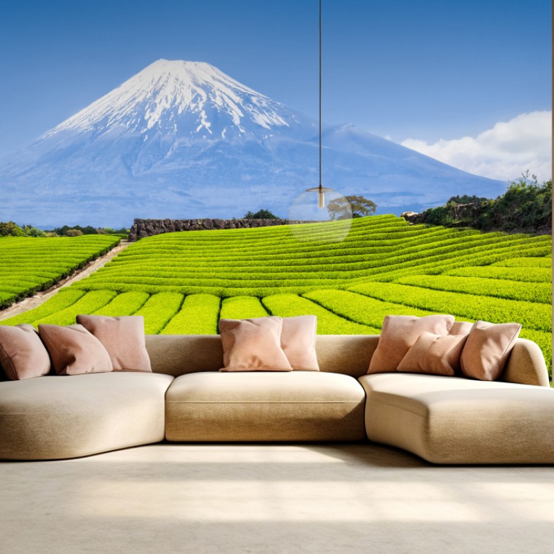 Fototapete üppige teefelder am fuß von Mount Fuji