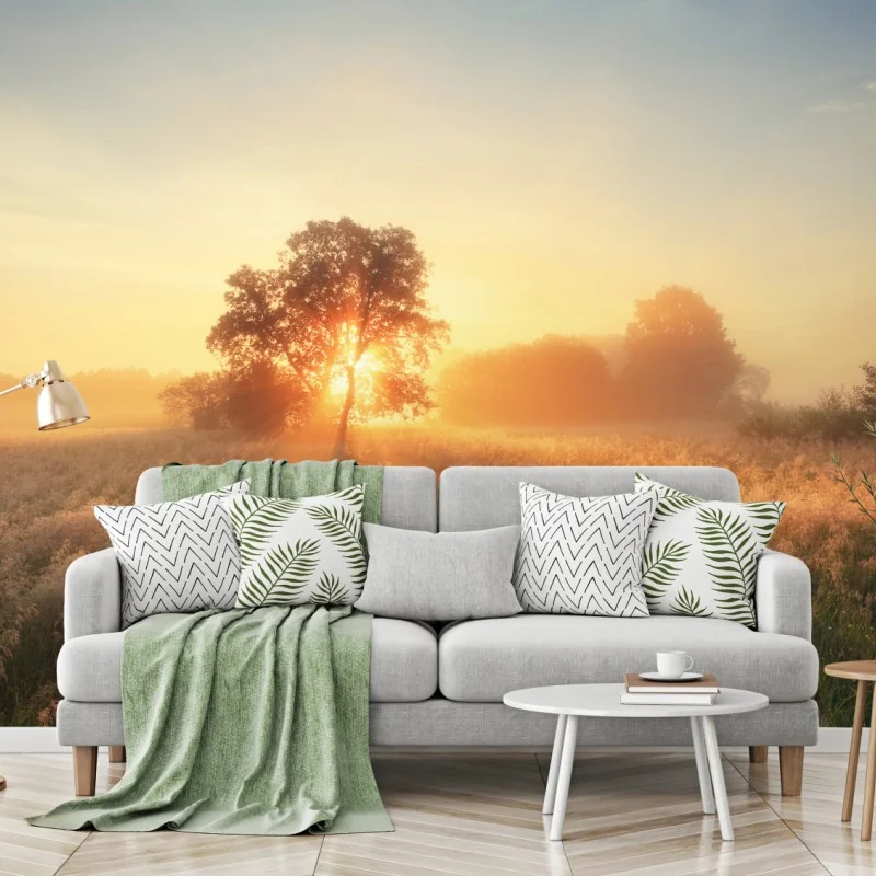 Fototapete goldener sonnenaufgang über nebliger wiese