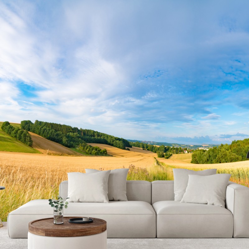 Fototapete morgendliche weizenlandschaft in Kansas