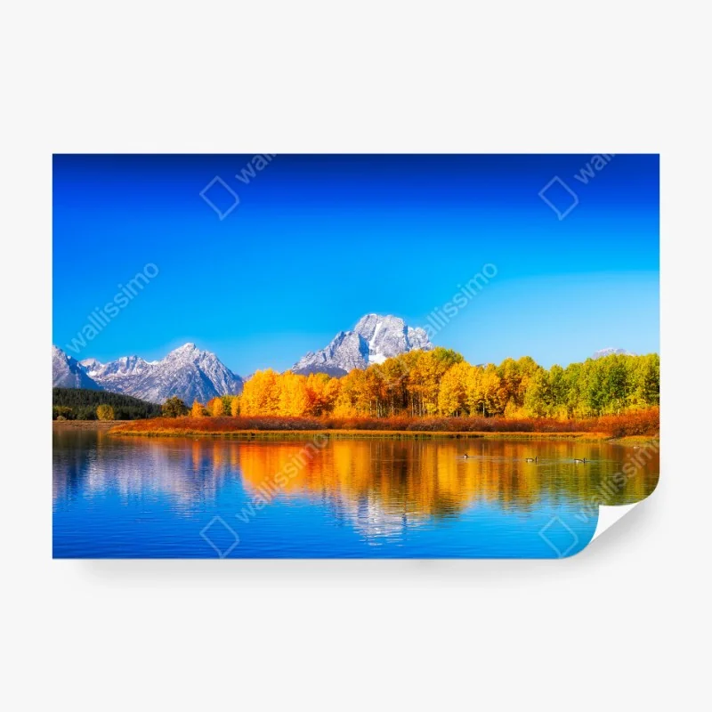 Fototapete üppige tropische blätter – Wallnifity®