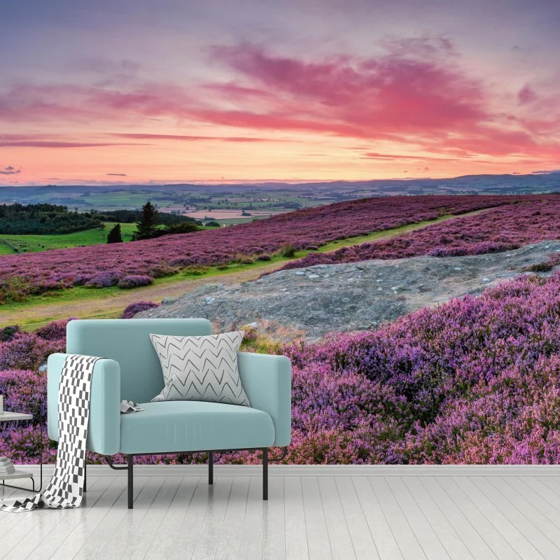 Fototapete violette heideflächen bei sonnenuntergang – Wallnifity® Fototapete violette heideflächen bei sonnenuntergang – Wallnifity®