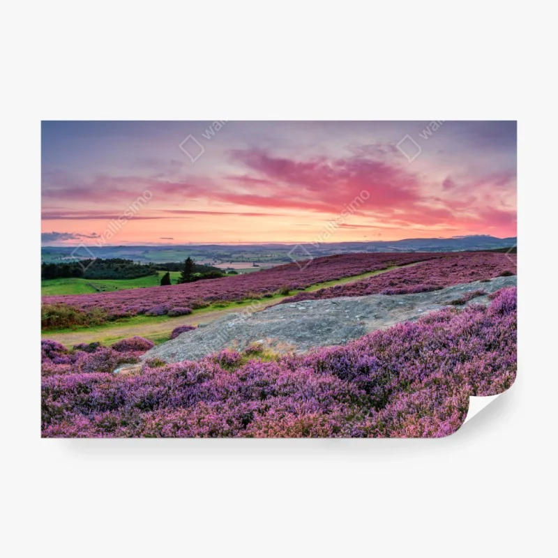 Fototapete grünes gemüse muster – Wallnifity®