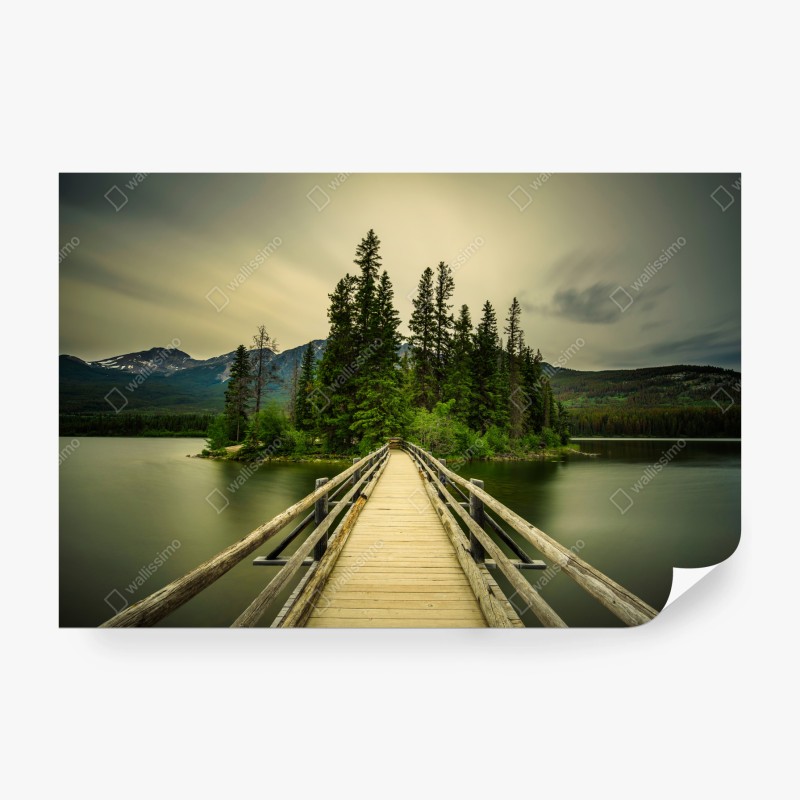 Fototapete üppige tropische blätter – Wallnifity®