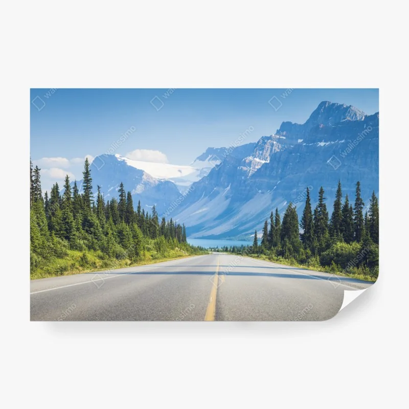 Fototapete straße durch kiefernwald zu gletschersee und bergen