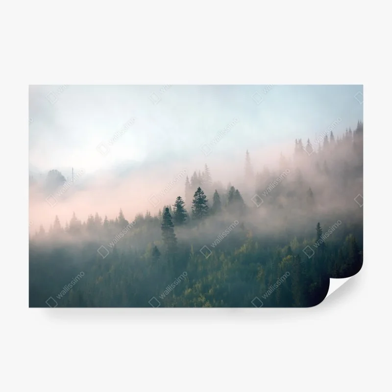 Fototapete frische pizza mit basilikum und cherrytomaten – Wallnifity®