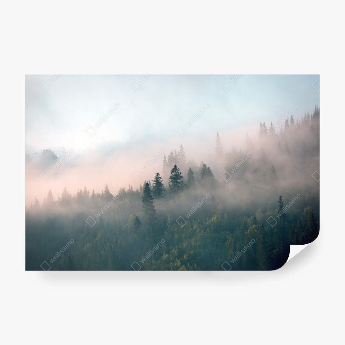 Fototapete nebliger morgenwald – Wallnifity® Fototapete nebliger morgenwald – Wallnifity®