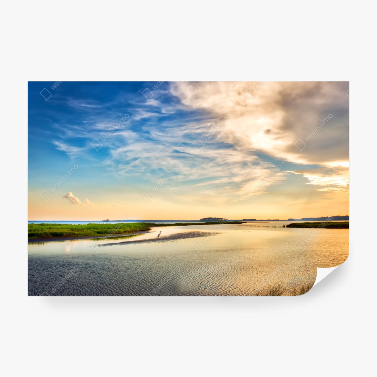 Fototapete graureiher in der Chesapeake-Bucht bei sonnenuntergang – Wallnifity®