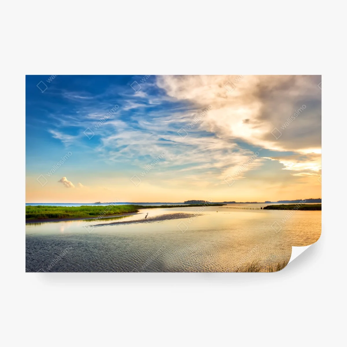 Fototapete graureiher in der Chesapeake-Bucht bei sonnenuntergang – Wallnifity®