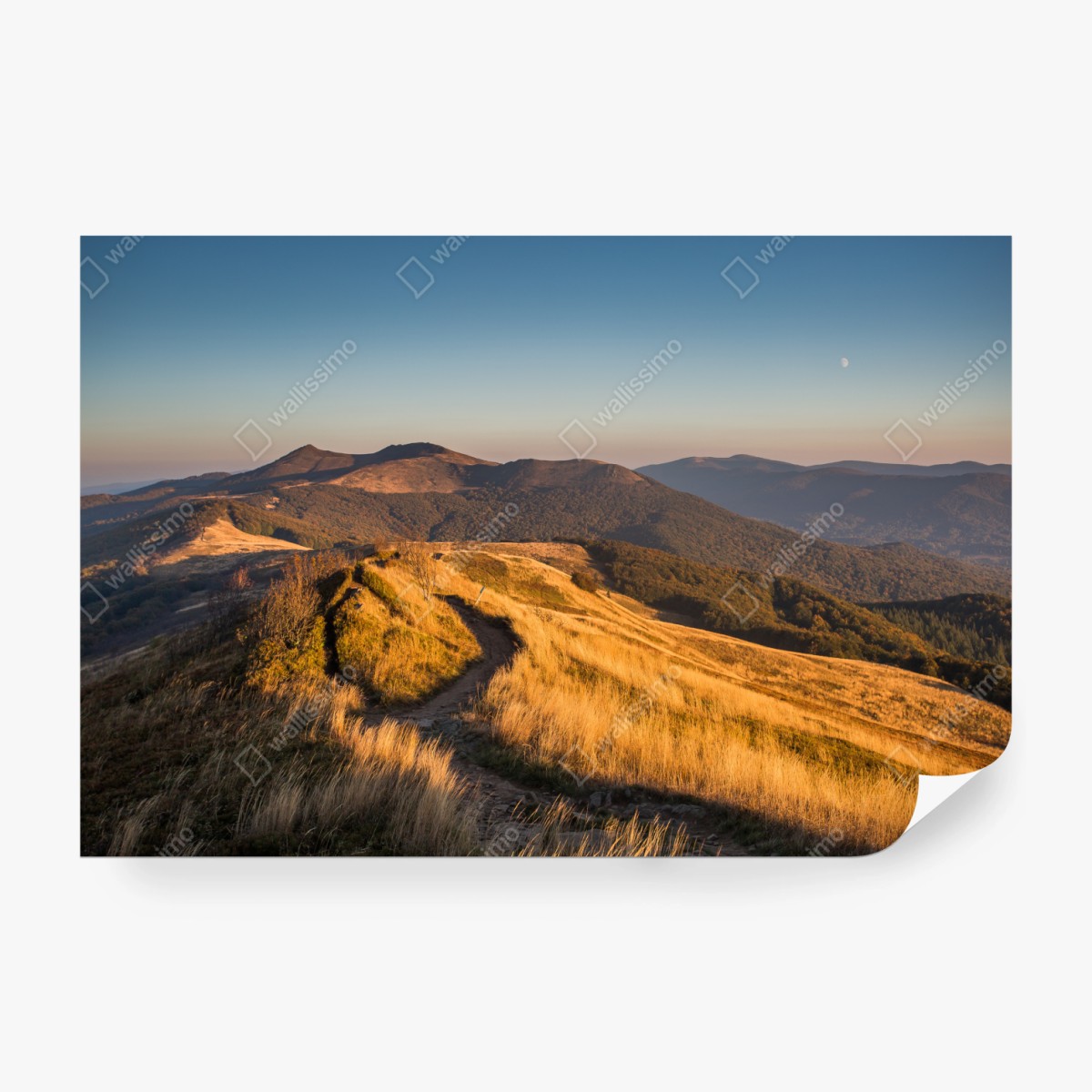 Fototapete goldener bergrücken bei sonnenuntergang – Wallnifity®