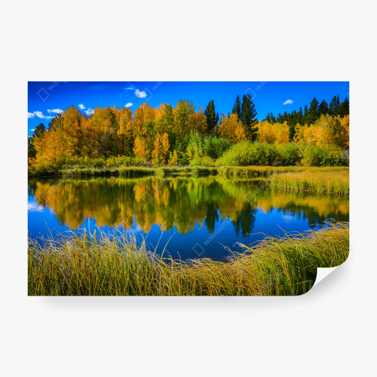 Fototapete herbstbäume spiegeln sich in einem ruhigen see – Wallnifity® Fototapete herbstbäume spiegeln sich in einem ruhigen see – Wallnifity®