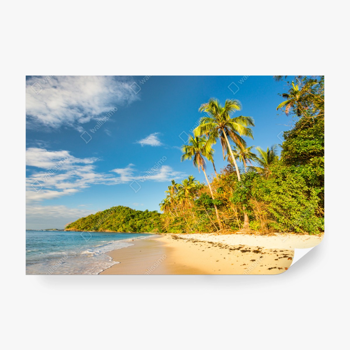 Fototapete goldener tropischer strand bei sonnenuntergang – Wallnifity® Fototapete goldener tropischer strand bei sonnenuntergang – Wallnifity®