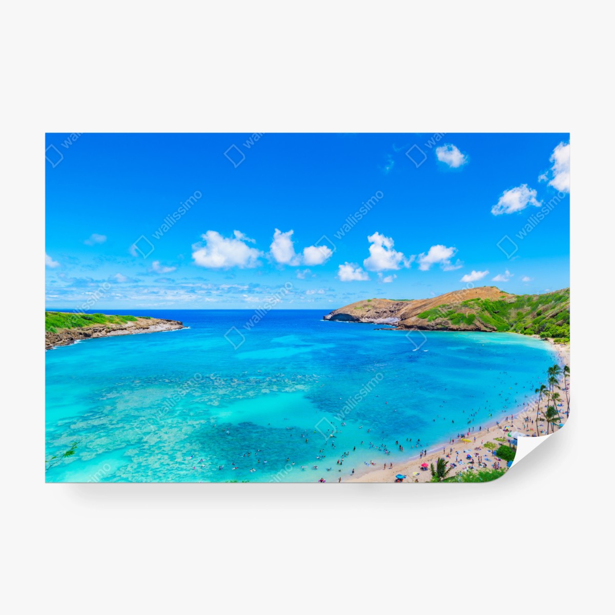 Fototapete tropische türkisfarbene bucht panorama – Wallnifity®