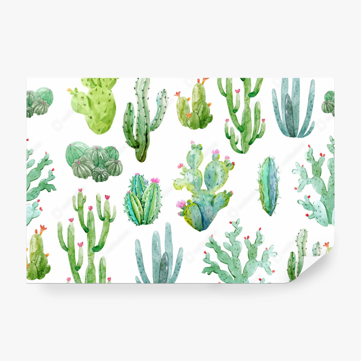 Fototapete aquarell kaktusgarten muster – Wallnifity® Fototapete aquarell kaktusgarten muster – Wallnifity®
