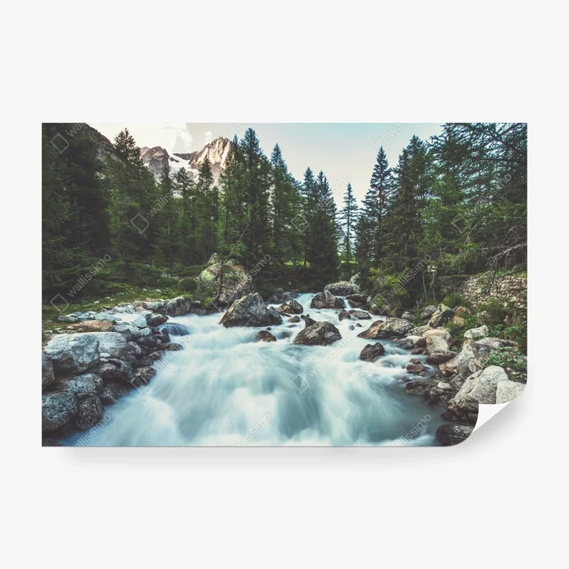 Fototapete einsamer baum im see in schwarzweiß – Wallnifity®