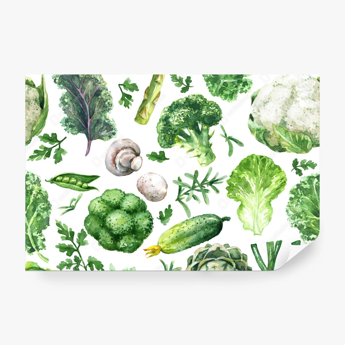 Fototapete aquarellmuster grünes gemüse – Wallnifity® Fototapete aquarellmuster grünes gemüse – Wallnifity®