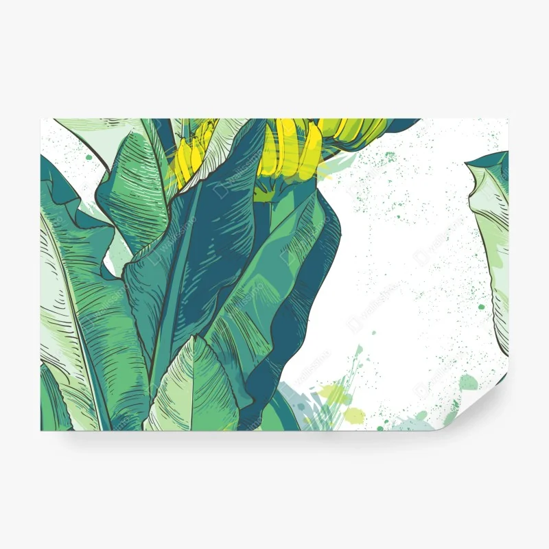 Fototapete tropische bananenblatt-illustration