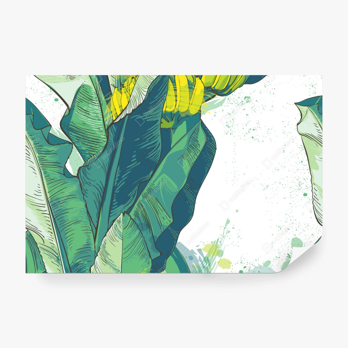 Fototapete tropische bananenblatt-illustration – Wallnifity®