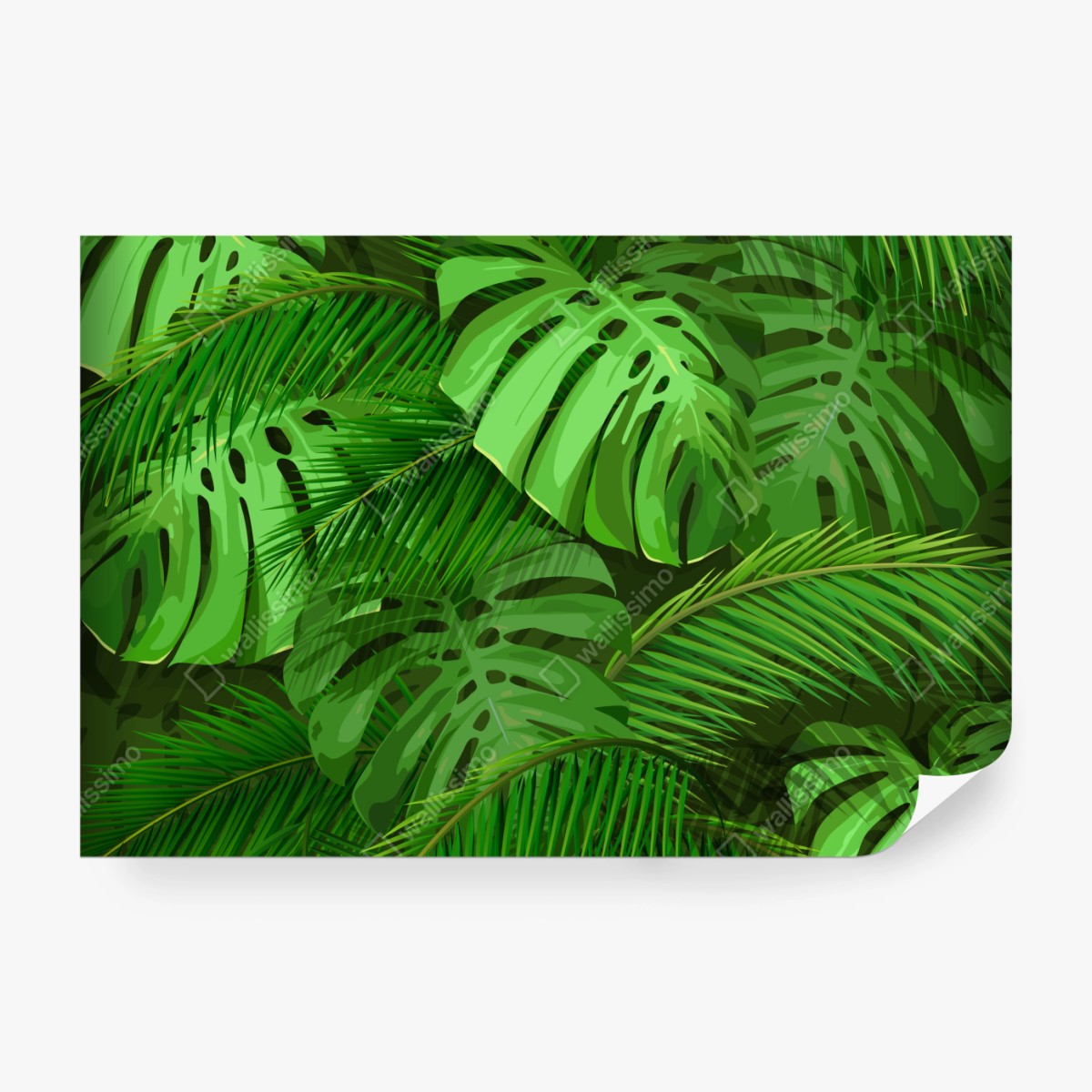 Fototapete üppige tropische monstera- und palmenblätter – Wallnifity®