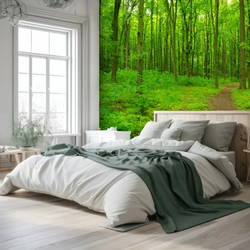 Fototapete beruhigender grüner waldweg