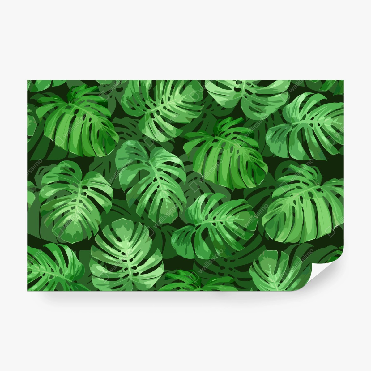 Fototapete tropisches monstera-blattmuster – Wallnifity® Fototapete tropisches monstera-blattmuster – Wallnifity®
