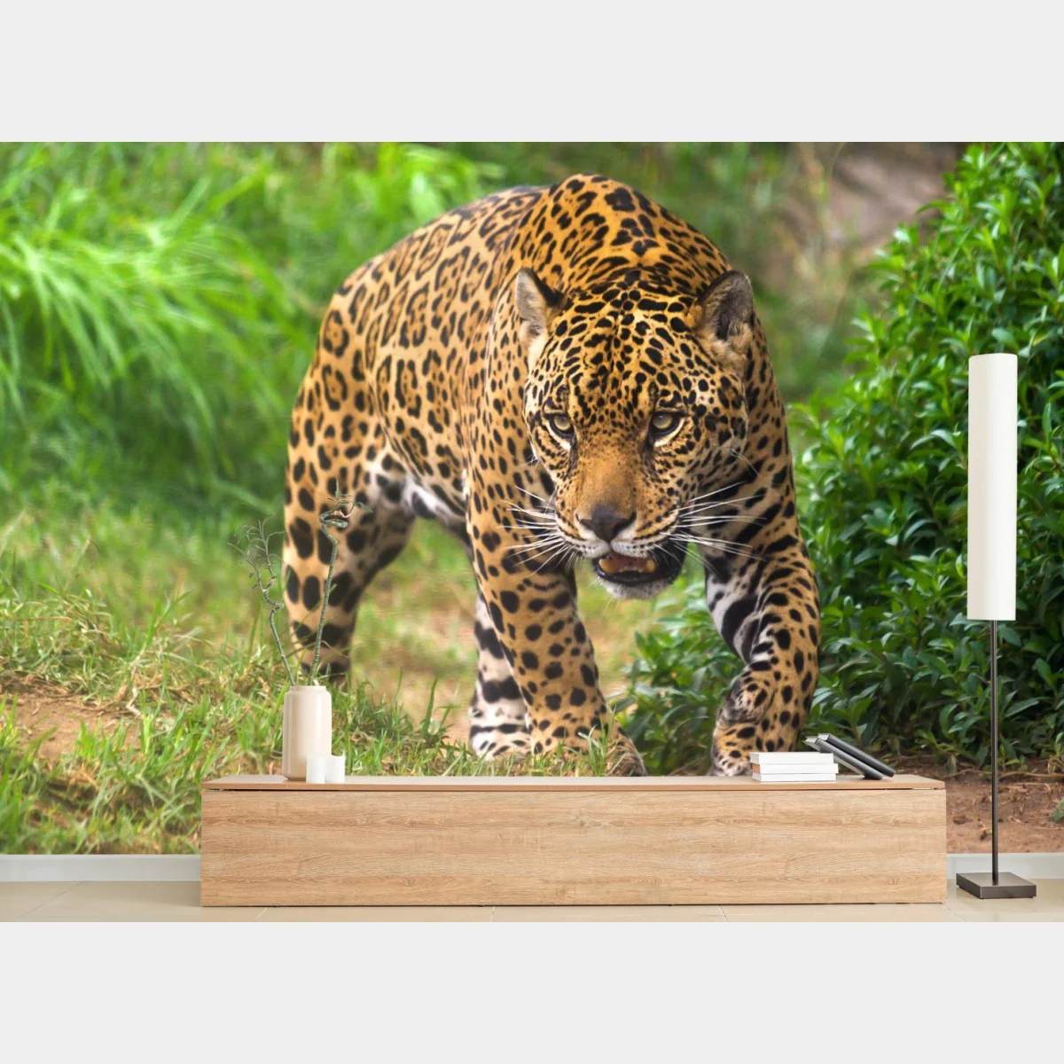 Fototapete majestätischer jaguar in freier wildbahn – Wallnifity® Fototapete majestätischer jaguar in freier wildbahn – Wallnifity®