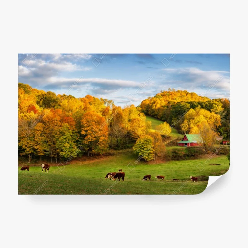 Fototapete herbstliche landschaft mit roter scheune