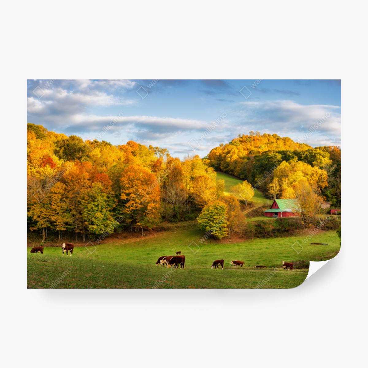 Fototapete herbstliche landschaft mit roter scheune – Wallnifity® Fototapete herbstliche landschaft mit roter scheune – Wallnifity®