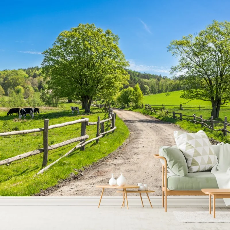 Fototapete sonnige landstraße durch grüne wiesen