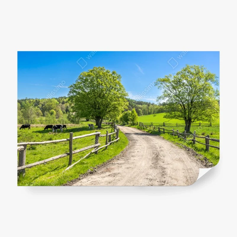 Fototapete sonnige landstraße durch grüne wiesen