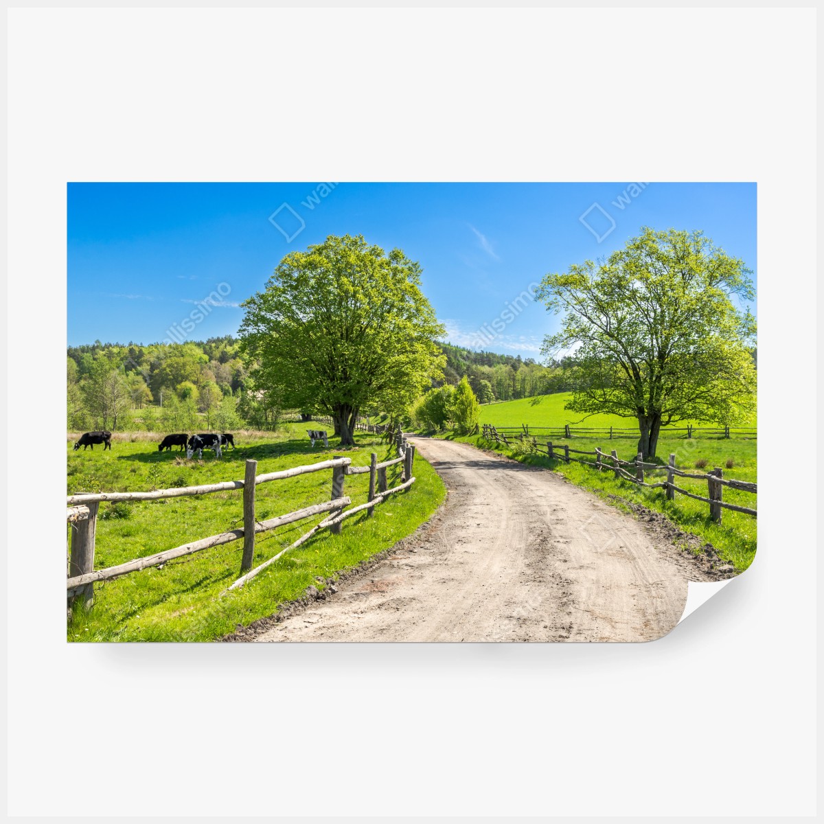 Fototapete sonnige landstraße durch grüne wiesen – Wallnifity® Fototapete sonnige landstraße durch grüne wiesen – Wallnifity®