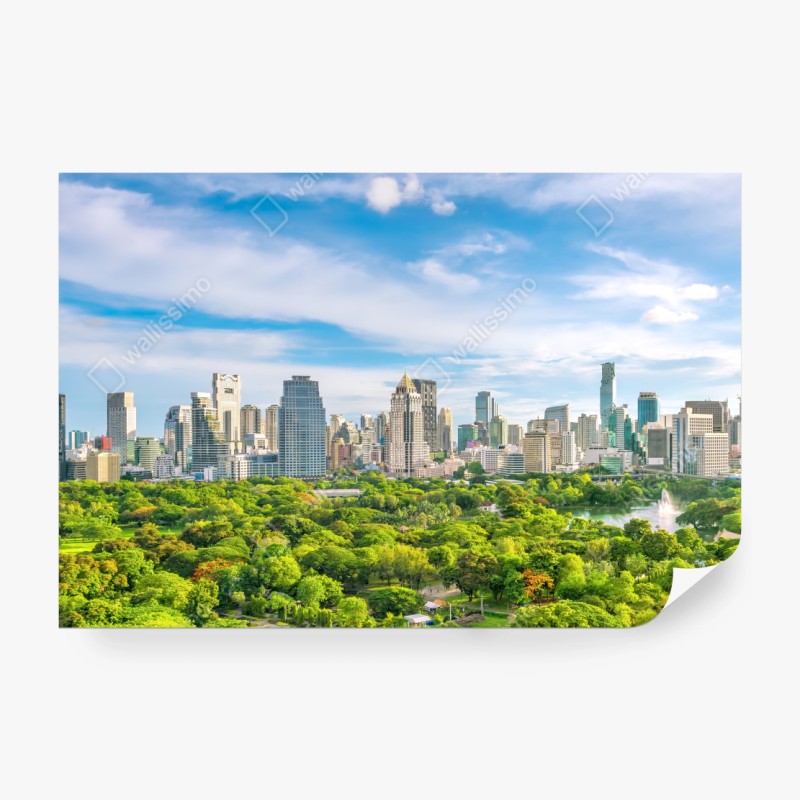 Fototapete ruhige schilfzone am see – Wallnifity®