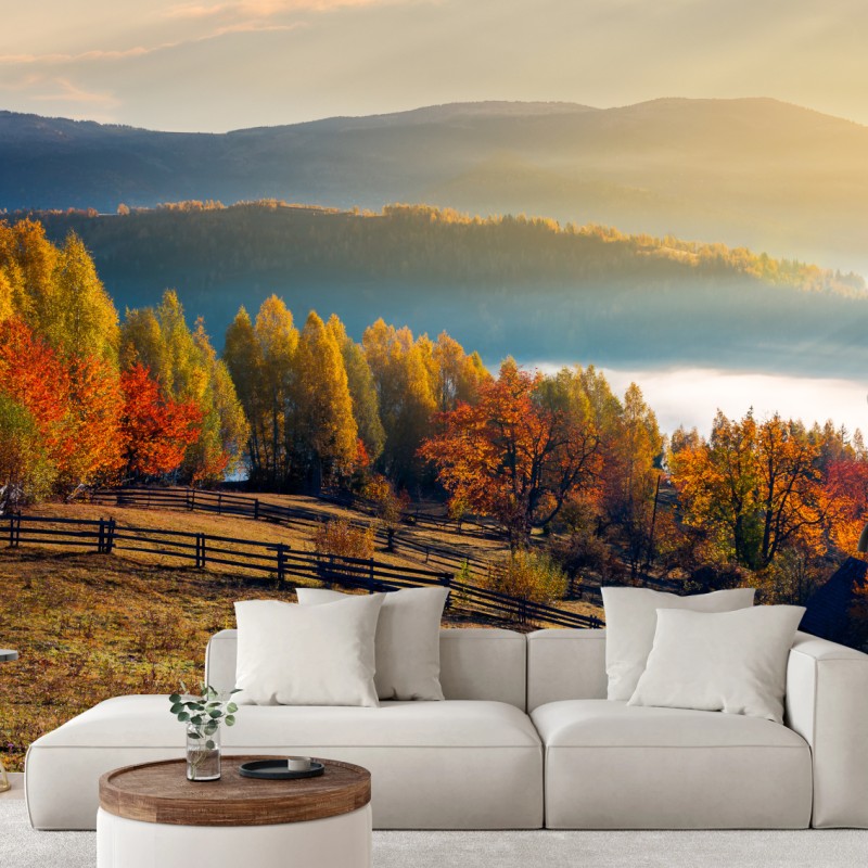 Fototapete nebliger herbstlicher sonnenaufgang auf dem land