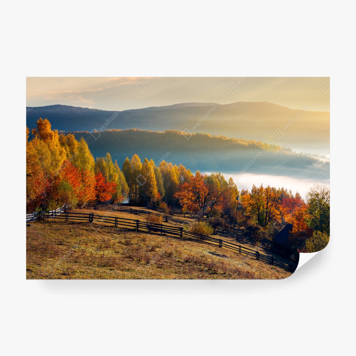 Fototapete nebliger herbstlicher sonnenaufgang auf dem land – Wallnifity® Fototapete nebliger herbstlicher sonnenaufgang auf dem land – Wallnifity®