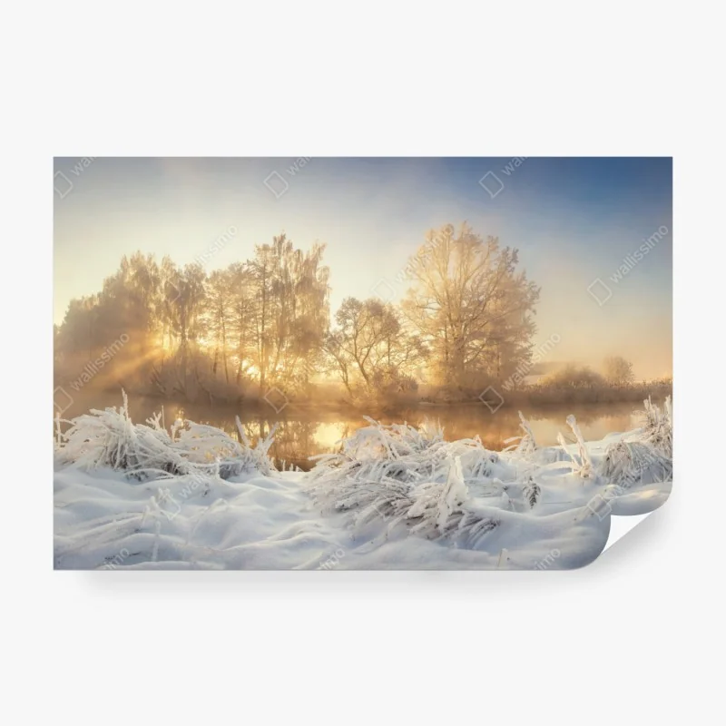 Fototapete sonnige gasse mit grünen fensterläden – Wallnifity®