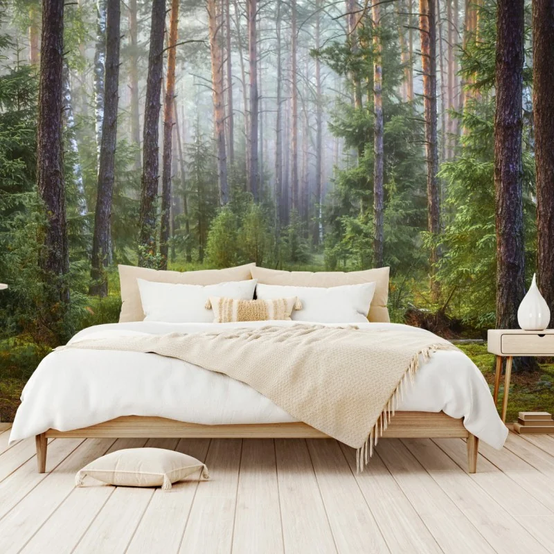 Fototapete nebliger kiefernwald mit pfad – Wallnifity® Fototapete nebliger kiefernwald mit pfad – Wallnifity®