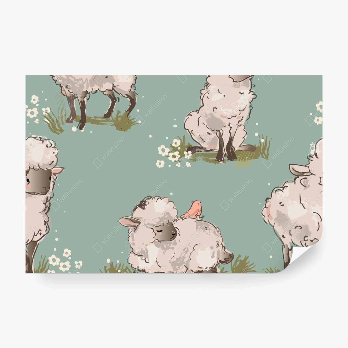 Fototapete niedliche lämmer auf türkisfarbenem hintergrund – Wallnifity® Fototapete niedliche lämmer auf türkisfarbenem hintergrund – Wallnifity®