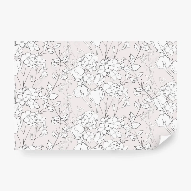 Fototapete olivenhain bei sonnenuntergang in Maremma, Toskana – Wallnifity®