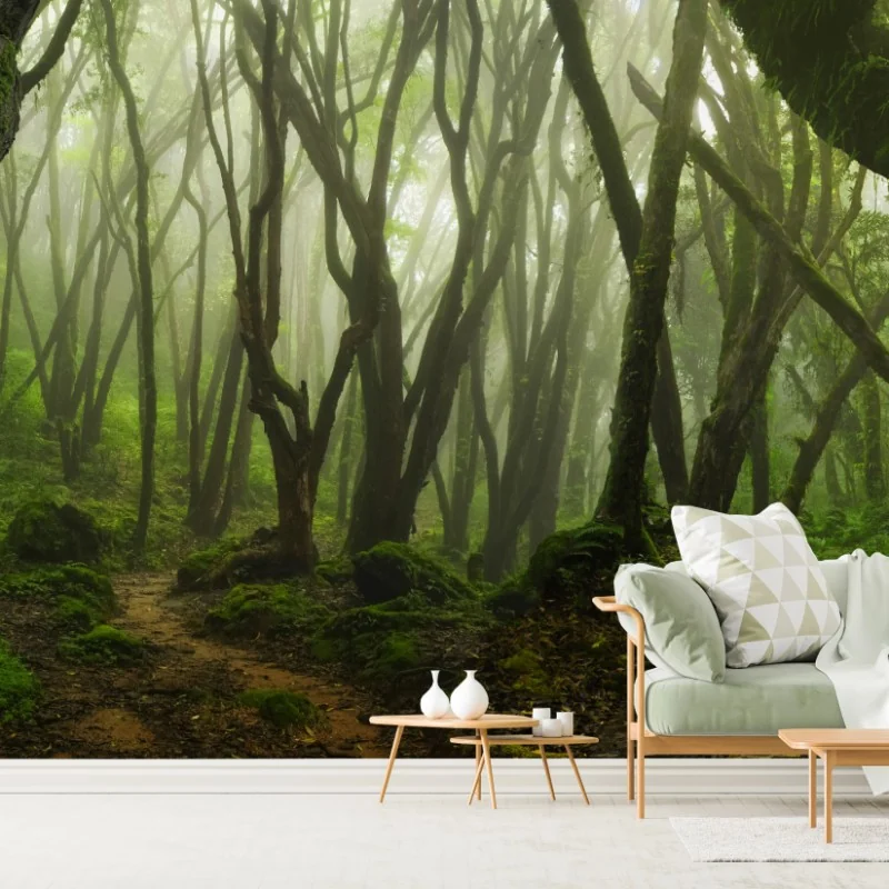 Fototapete nebliger grüner waldpfad