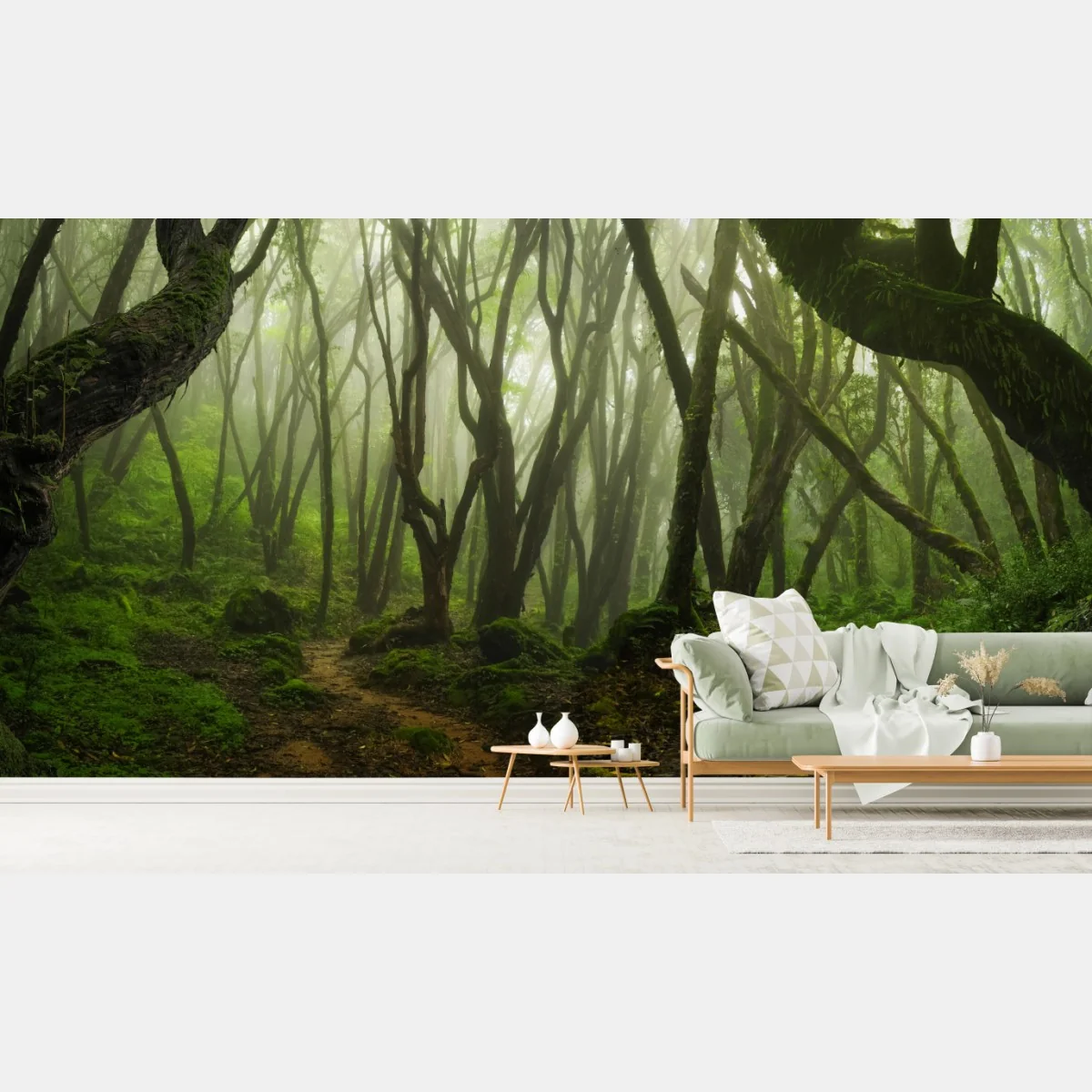 Fototapete nebliger grüner waldpfad – Wallnifity®