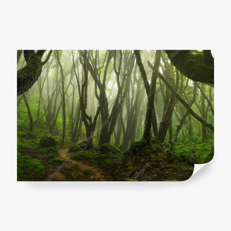 Fototapete goldene tropische blätter line art – Wallnifity®