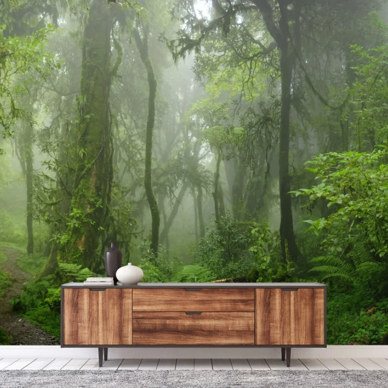 Fototapete nebliger tropischer dschungelpfad