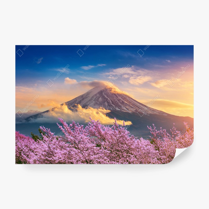 Fototapete Berg Fuji mit blühenden kirschblüten bei sonnenaufgang