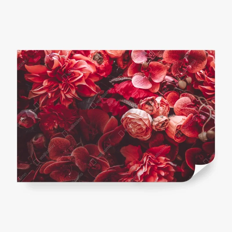 Fototapete hängende brücke im dichten dschungel – Wallnifity®