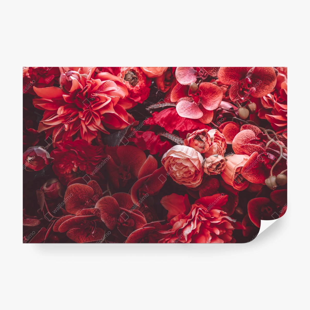 Fototapete prächtiges blütenmeer in tiefroten tönen – Wallnifity® Fototapete prächtiges blütenmeer in tiefroten tönen – Wallnifity®