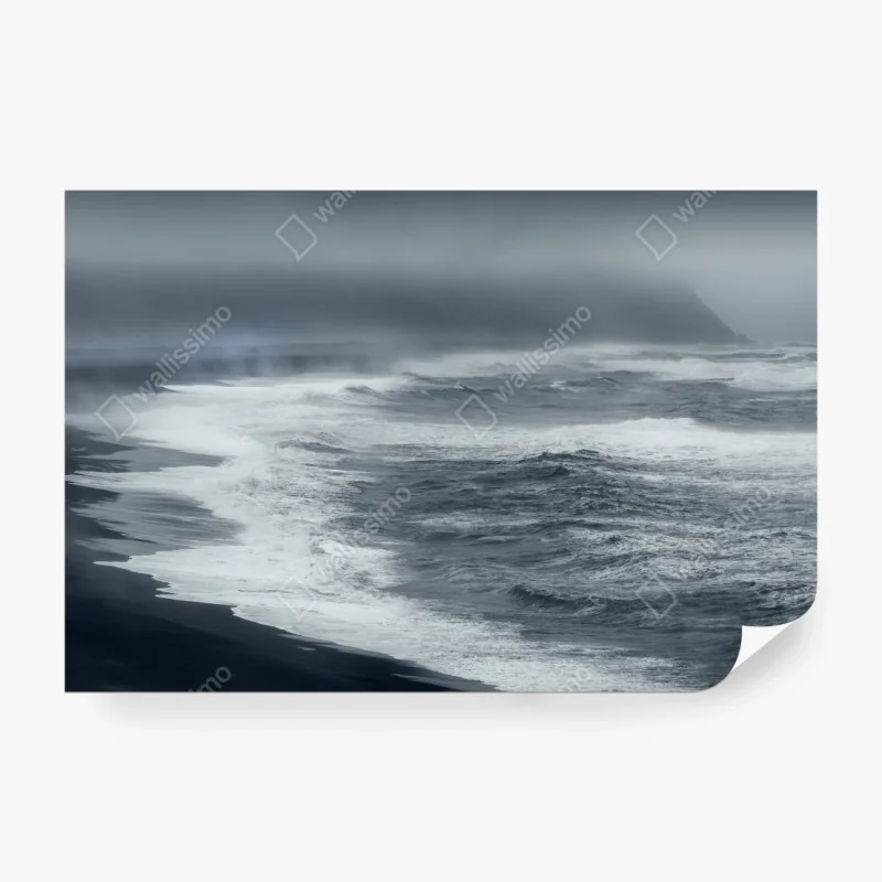 Fototapete palmenstrand in Punta Cana – Wallnifity®