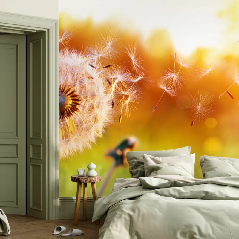 Fototapete goldener löwenzahn im sonnenuntergang