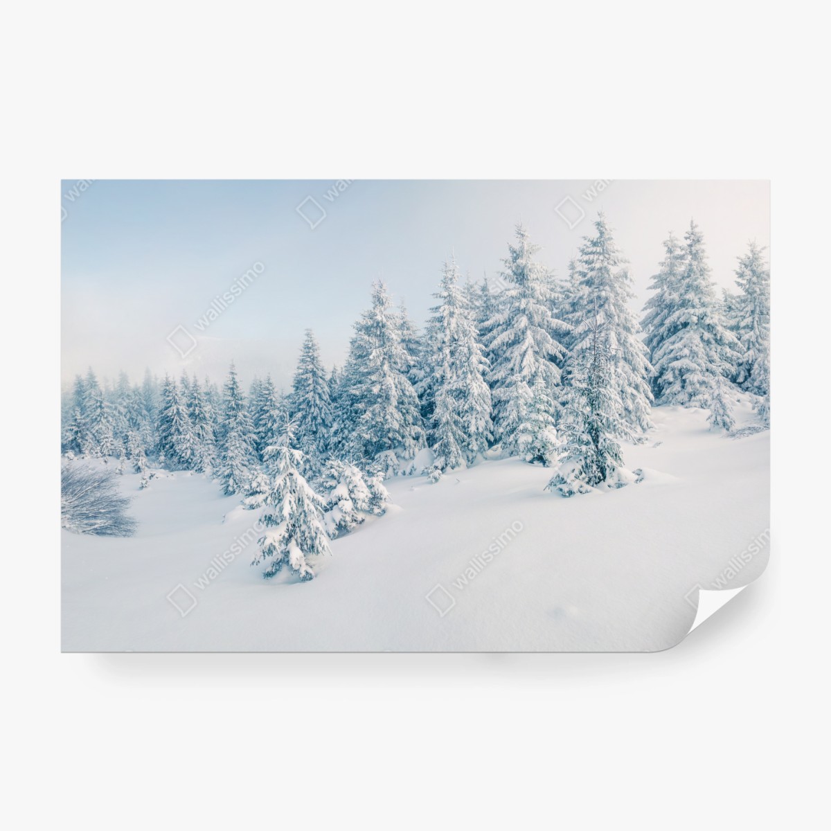 Fototapete winterliche waldpanorama mit schneebedeckten fichten – Wallnifity®