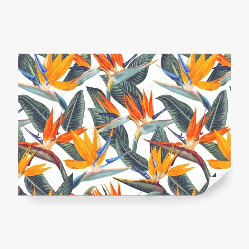 Fototapete nebliger kiefernwald aus dem Elsass – Wallnifity®