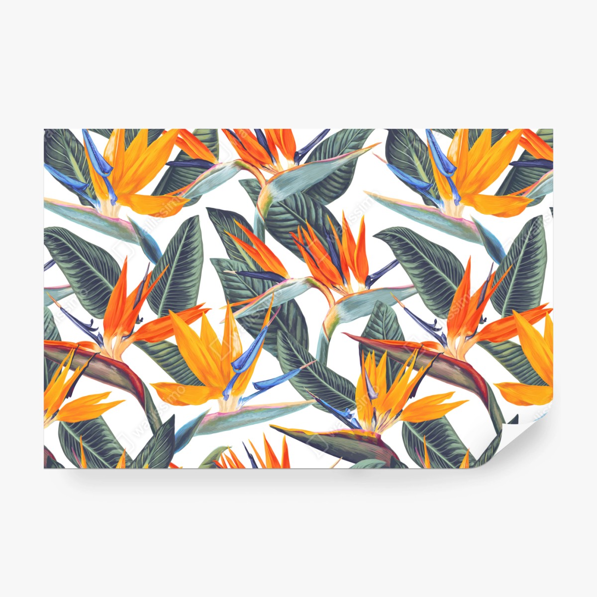 Fototapete tropisches muster mit strelitzien – Wallnifity® Fototapete tropisches muster mit strelitzien – Wallnifity®