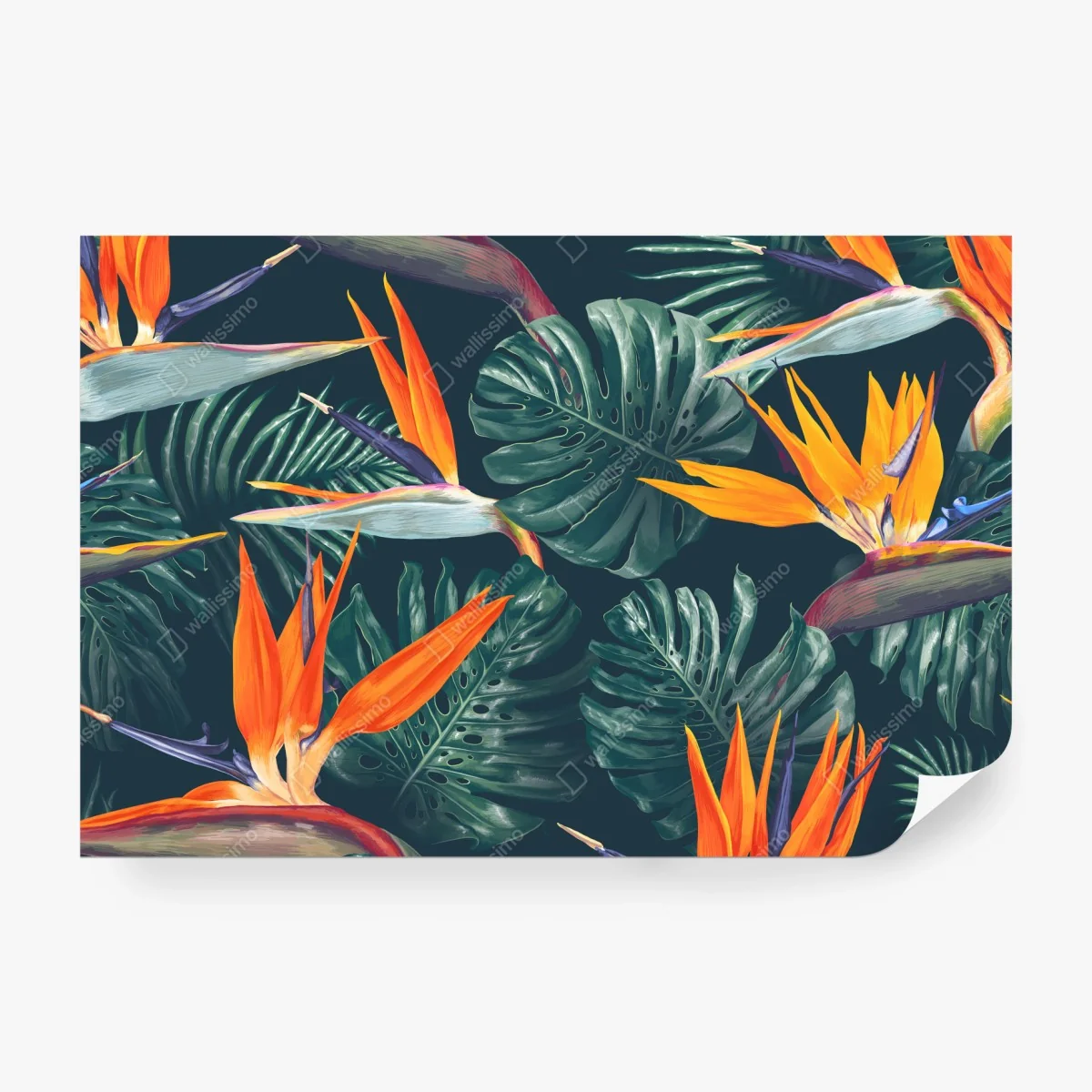 Fototapete tropisches muster mit strelitzie – Wallnifity® Fototapete tropisches muster mit strelitzie – Wallnifity®